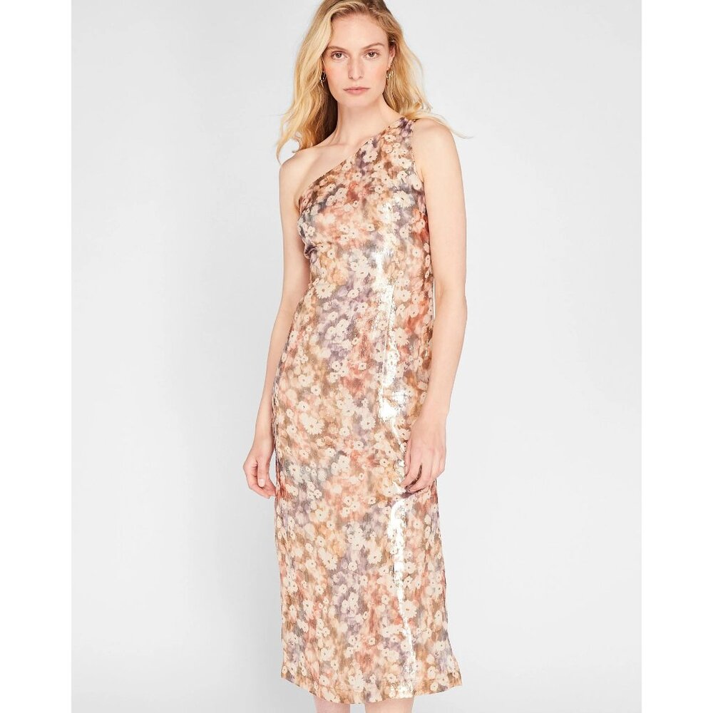 Club Monaco Shimmering Floral Maxi Dress Size 8 Sunset/Du Soleil
